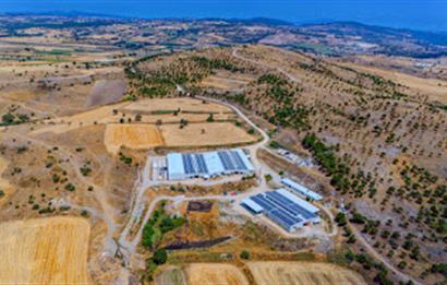 C21 LOCA'DAN BALIKESİR MERKEZDE BÜYÜKBAŞ HAYVAN ÇİFTLİĞİ
