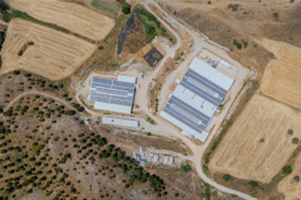 C21 LOCA'DAN BALIKESİR MERKEZDE BÜYÜKBAŞ HAYVAN ÇİFTLİĞİ