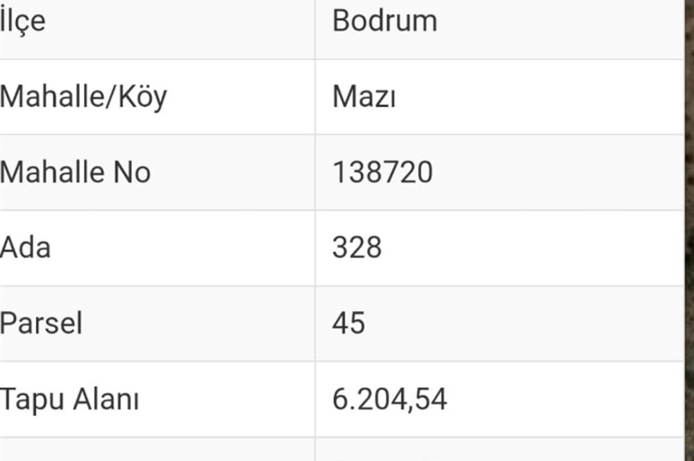 Bodrum -Mazı yatırımlık satılık tarla
