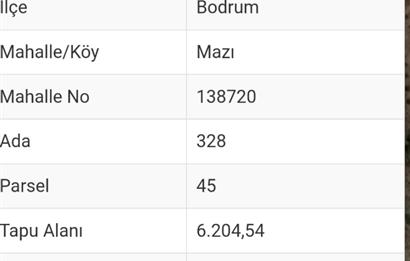 Bodrum -Mazı yatırımlık satılık tarla