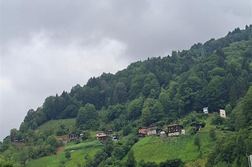 RİZE HEMŞİN KANTARLI KÖYÜN'DE 14565 M2 SATILIK TARLA