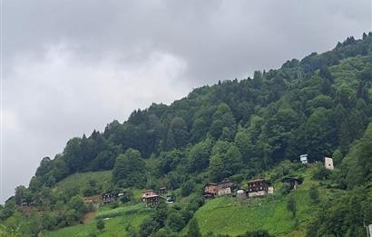 RİZE HEMŞİN KANTARLI KÖYÜN'DE 14565 M2 SATILIK TARLA