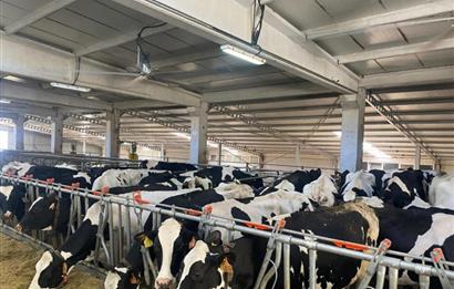 C21 LOCA'DAN BALIKESİR MERKEZDE BÜYÜKBAŞ HAYVAN ÇİFTLİĞİ