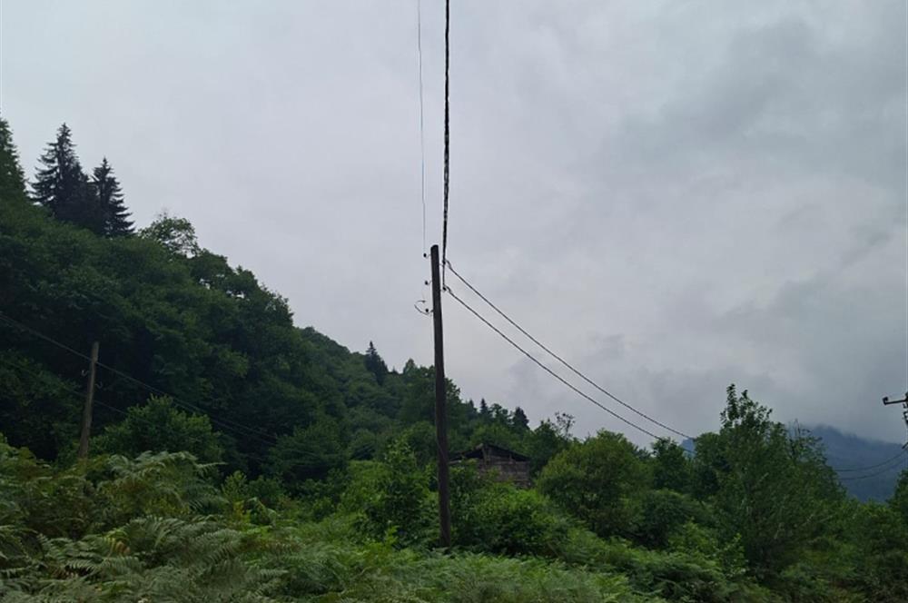 RİZE HEMŞİN KANTARLI KÖYÜN'DE 14565 M2 SATILIK TARLA