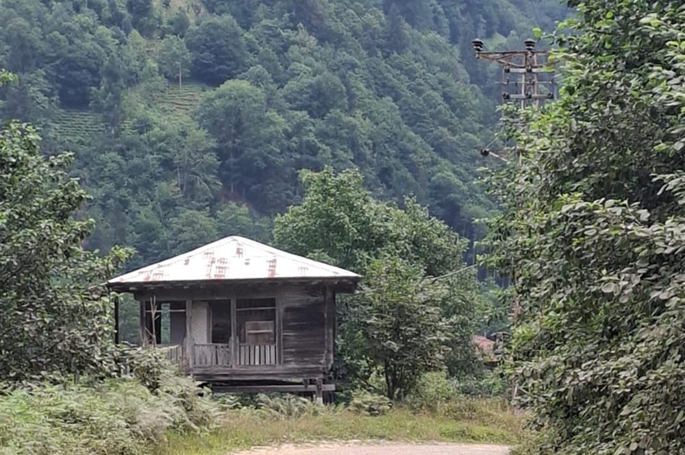 RİZE HEMŞİN KANTARLI KÖYÜN'DE 14565 M2 SATILIK TARLA