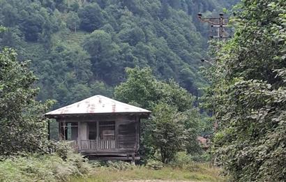RİZE HEMŞİN KANTARLI KÖYÜN'DE 14565 M2 SATILIK TARLA