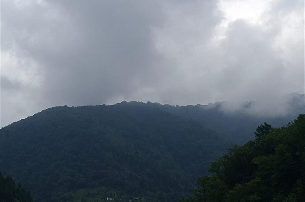 RİZE HEMŞİN KANTARLI KÖYÜN'DE 14565 M2 SATILIK TARLA