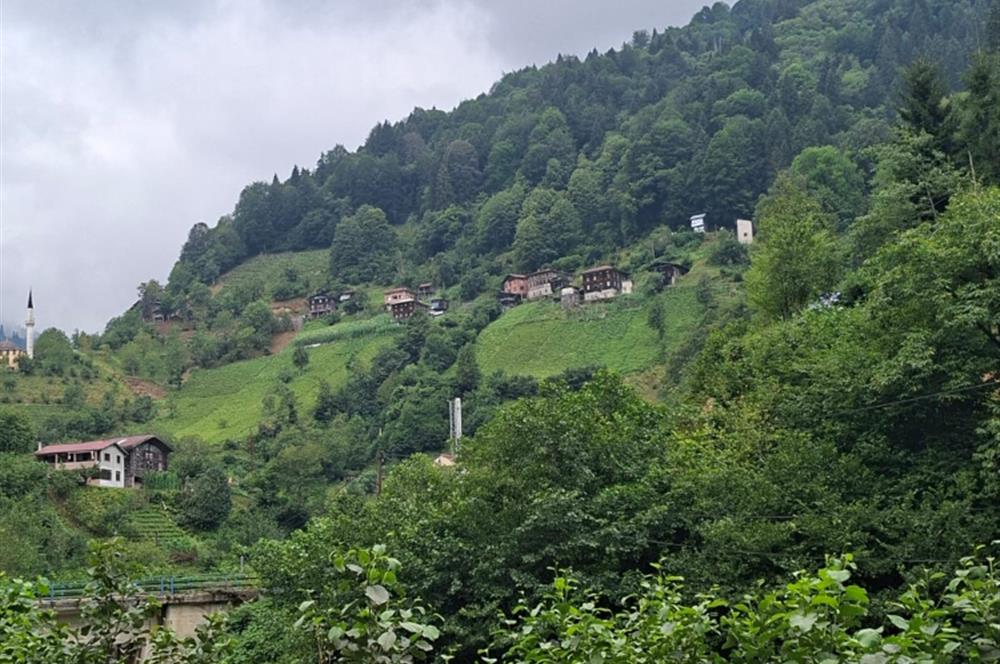 RİZE HEMŞİN KANTARLI KÖYÜN'DE 14565 M2 SATILIK TARLA
