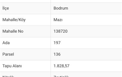 Bodrum-Mazı'da yatırımlık satılık zeytinlik
