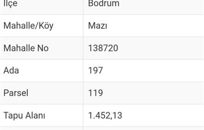 Bodrum -Mazı yatırımlık satılık tarla