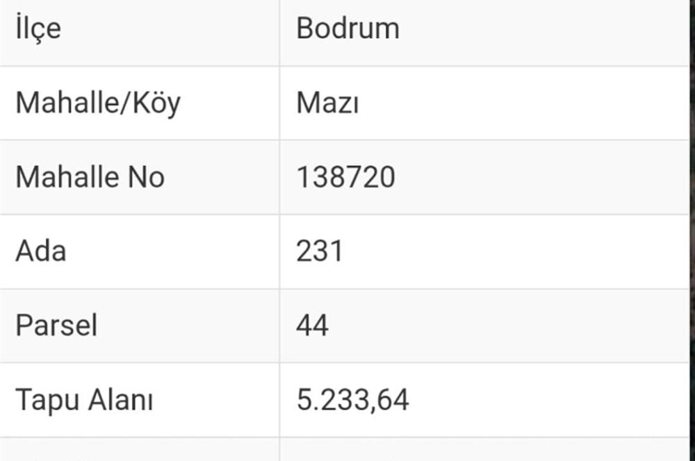 Bodrum -Mazı yatırımlık satılık tarla