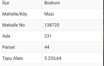 Bodrum -Mazı yatırımlık satılık tarla
