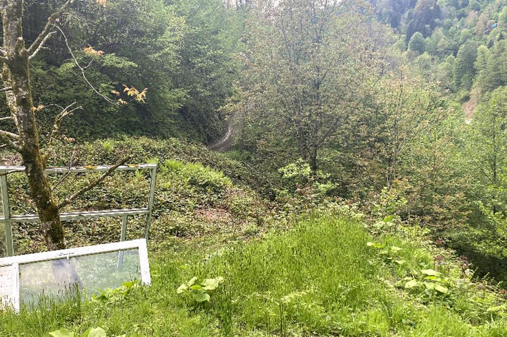 RİZE HEMŞİN KANTARLI KÖYÜN'DE 14565 M2 SATILIK TARLA