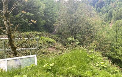 RİZE HEMŞİN KANTARLI KÖYÜN'DE 14565 M2 SATILIK TARLA