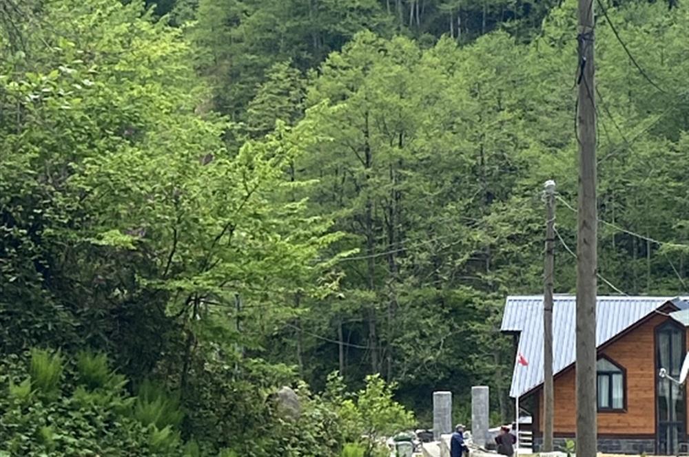 RİZE HEMŞİN KANTARLI KÖYÜN'DE 14565 M2 SATILIK TARLA