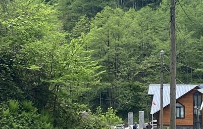 RİZE HEMŞİN KANTARLI KÖYÜN'DE 14565 M2 SATILIK TARLA