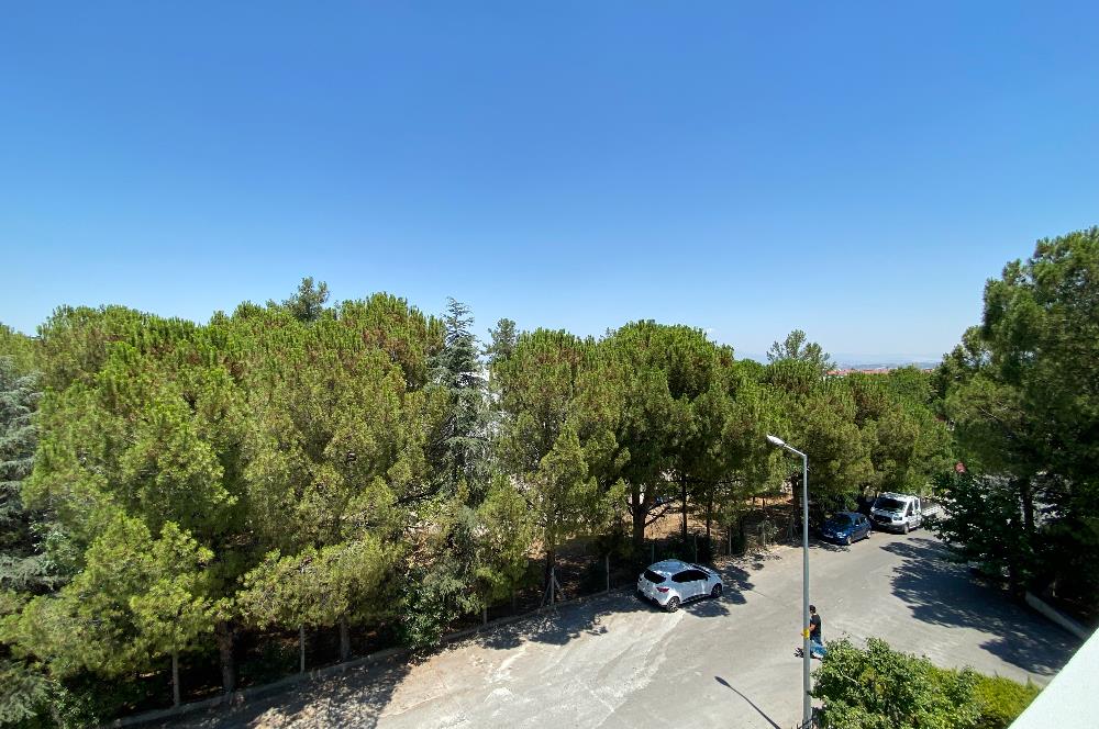 Çamlık’ta Kiralık Villa