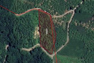 TRABZON ORTAHİSAR YEŞİLBÜK'TE 3791 M2 SATILIK TARLA