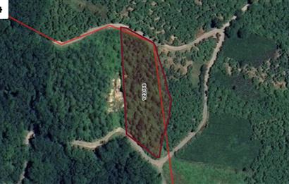 TRABZON ORTAHİSAR YEŞİLBÜK'TE 3791 M2 SATILIK TARLA