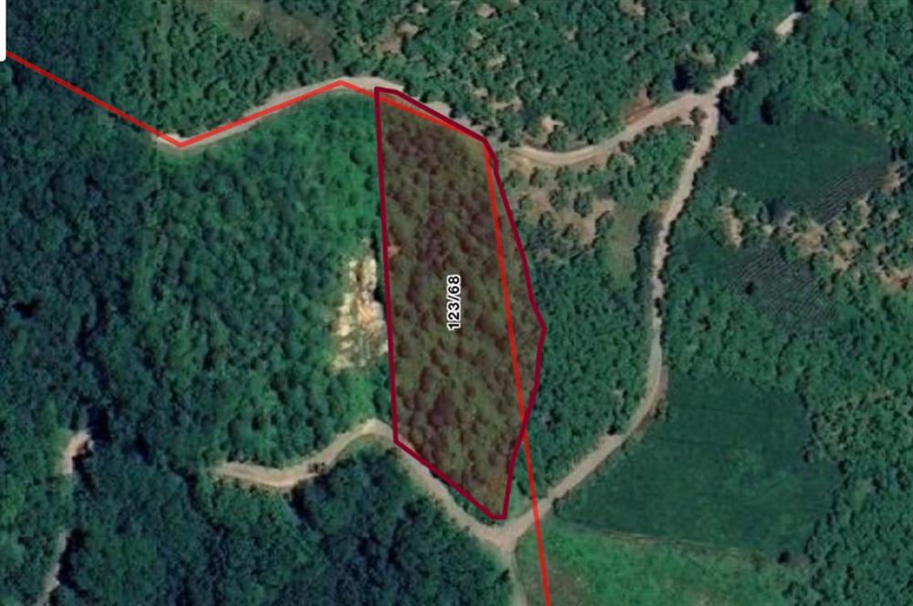 TRABZON ORTAHİSAR YEŞİLBÜK'TE 3791 M2 SATILIK TARLA