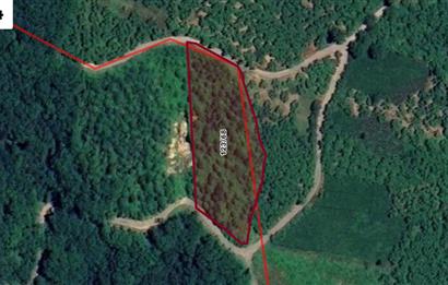 TRABZON ORTAHİSAR YEŞİLBÜK'TE 3791 M2 SATILIK TARLA