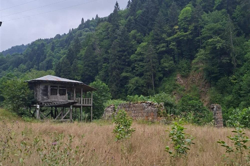 RİZE HEMŞİN KANTARLI KÖYÜN'DE 14565 M2 SATILIK TARLA