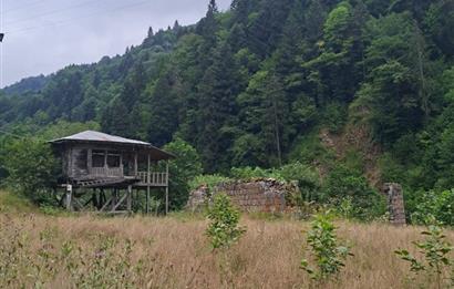 RİZE HEMŞİN KANTARLI KÖYÜN'DE 14565 M2 SATILIK TARLA