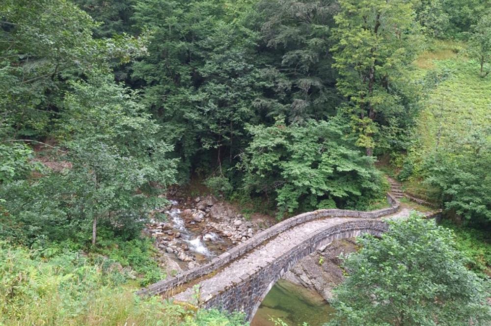 RİZE HEMŞİN KANTARLI KÖYÜN'DE 14565 M2 SATILIK TARLA
