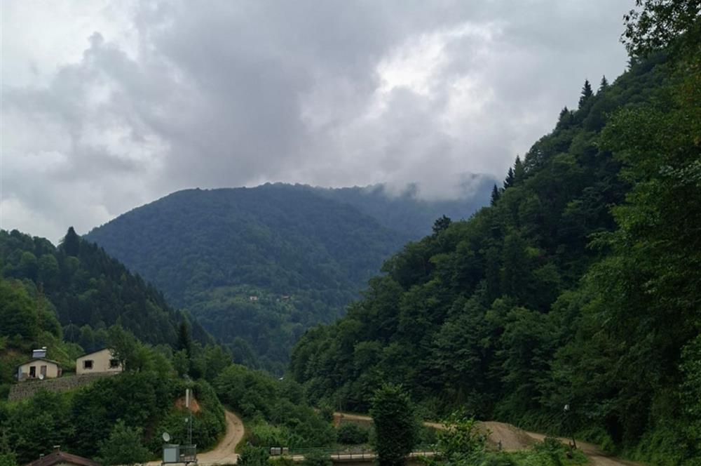 RİZE HEMŞİN KANTARLI KÖYÜN'DE 14565 M2 SATILIK TARLA