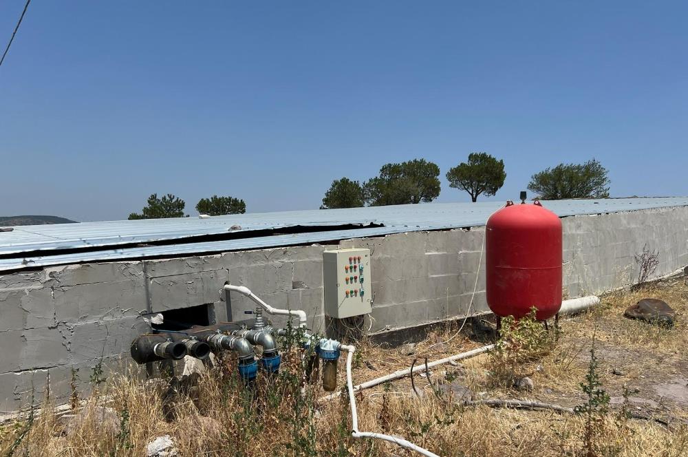 C21 LOCA'DAN BALIKESİR MERKEZDE BÜYÜKBAŞ HAYVAN ÇİFTLİĞİ