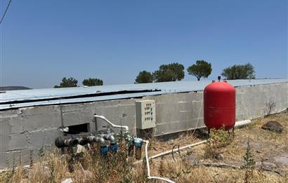 C21 LOCA'DAN BALIKESİR MERKEZDE BÜYÜKBAŞ HAYVAN ÇİFTLİĞİ