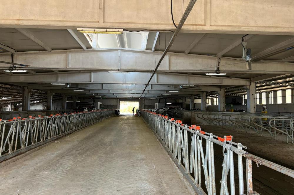C21 LOCA'DAN BALIKESİR MERKEZDE BÜYÜKBAŞ HAYVAN ÇİFTLİĞİ