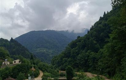 RİZE HEMŞİN KANTARLI KÖYÜN'DE 14565 M2 SATILIK TARLA