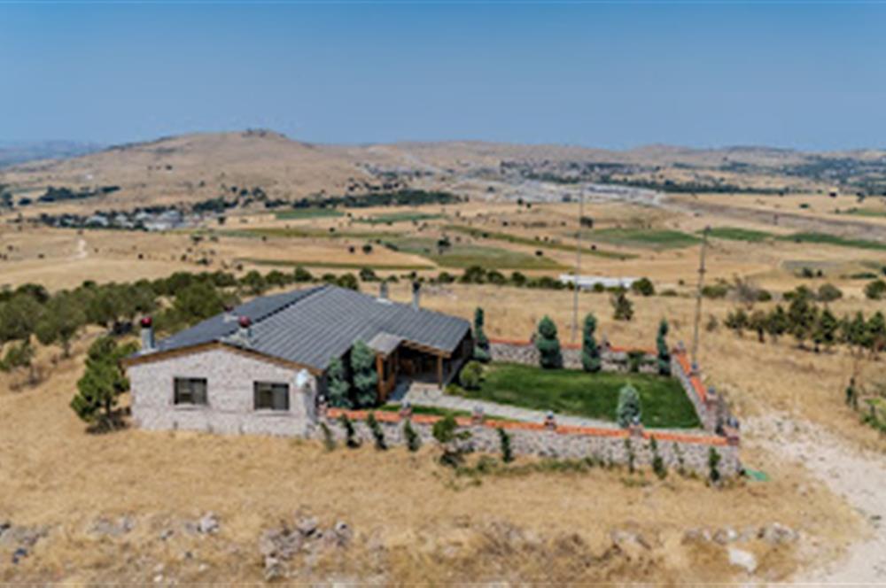 C21 LOCA'DAN BALIKESİR MERKEZDE BÜYÜKBAŞ HAYVAN ÇİFTLİĞİ