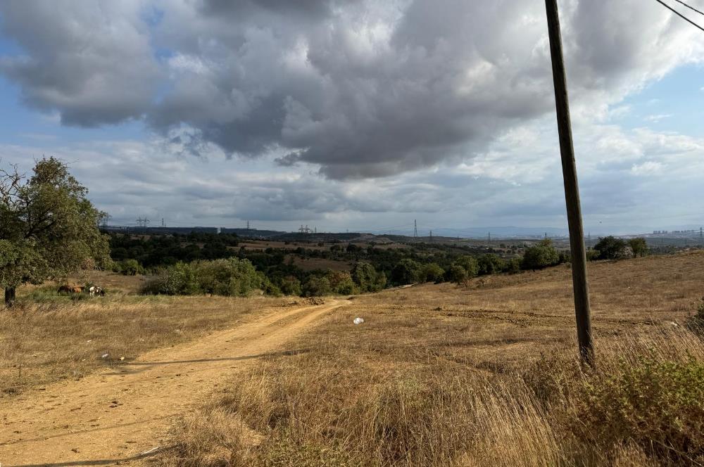 KOCAELİ GEBZE DENİZLİ KÖYÜNDE KONUT İMARLI SATILIK ARSA