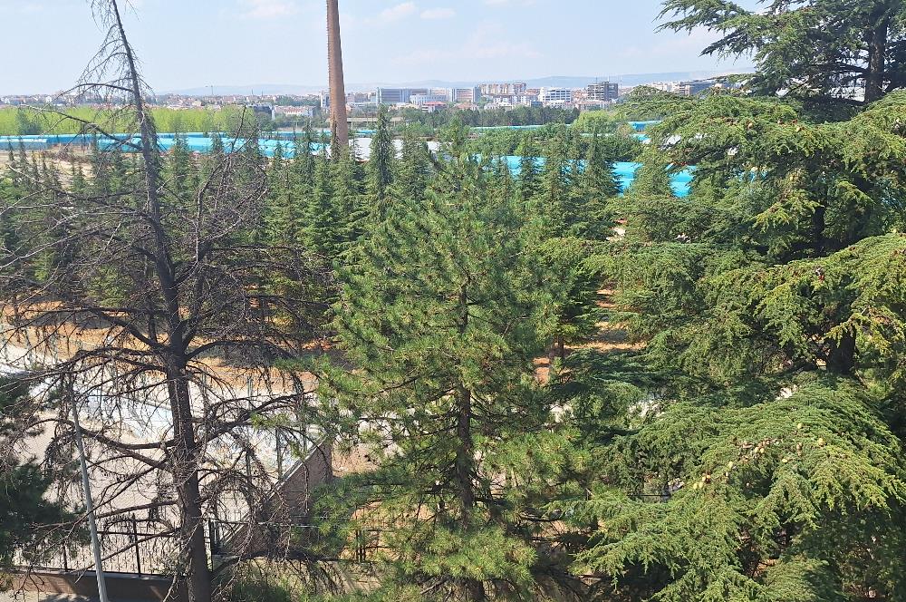 CENTURY 21 VİZYON'DAN BASIN ŞEHİTLERİ CAD. KİRALIK 2+1 DAİRE
