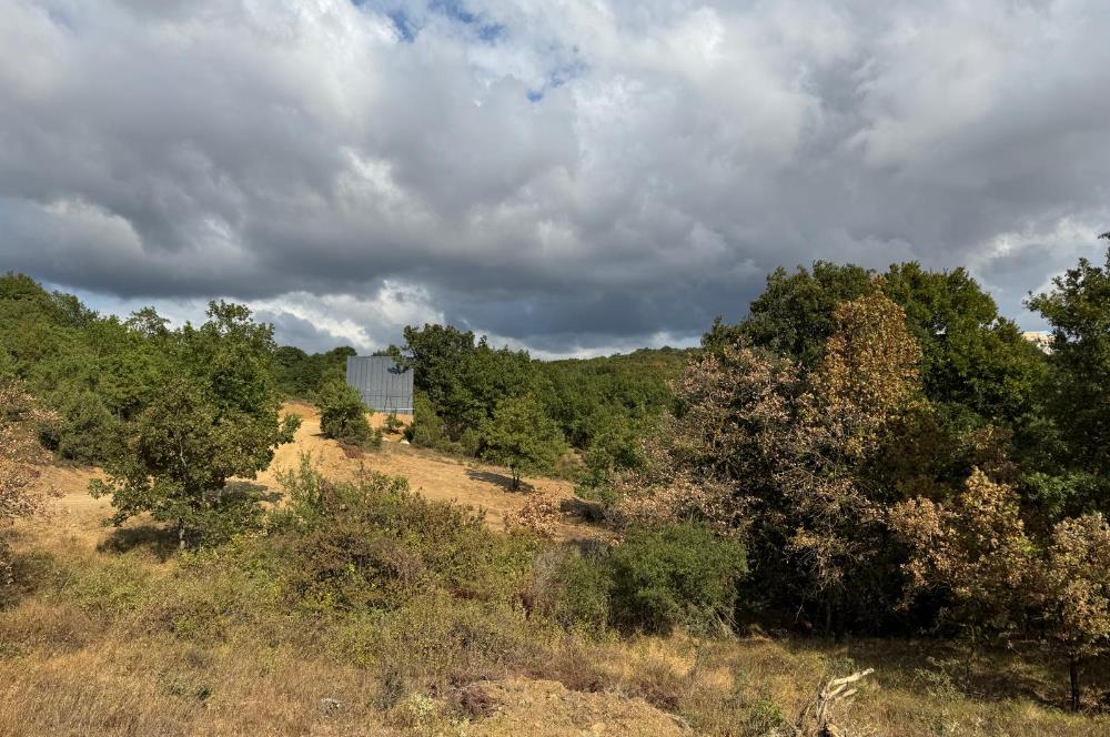 KOCAELİ GEBZE DENİZLİ KÖYÜNDE KONUT İMARLI SATILIK ARSA