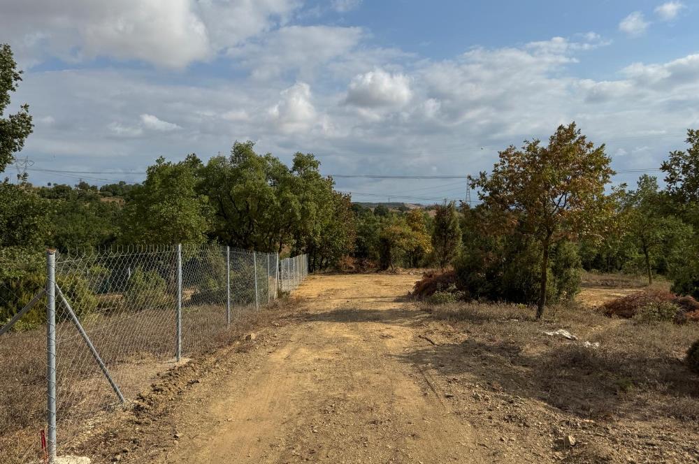 KOCAELİ GEBZE DENİZLİ KÖYÜNDE KONUT İMARLI SATILIK ARSA