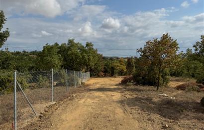 KOCAELİ GEBZE DENİZLİ KÖYÜNDE KONUT İMARLI SATILIK ARSA