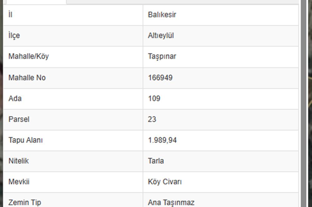 C21 BAL'DAN ALTIEYLÜL TAŞPINAR KÖY CİVARI MEVKİİ 1989 M2 TARLA