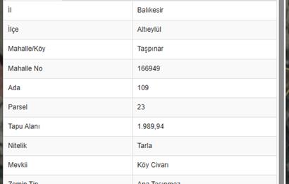C21 BAL'DAN ALTIEYLÜL TAŞPINAR KÖY CİVARI MEVKİİ 1989 M2 TARLA