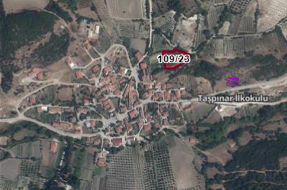 C21 BAL'DAN ALTIEYLÜL TAŞPINAR KÖY CİVARI MEVKİİ 1989 M2 TARLA