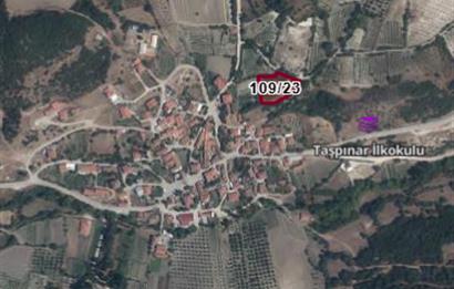 C21 BAL'DAN ALTIEYLÜL TAŞPINAR KÖY CİVARI MEVKİİ 1989 M2 TARLA