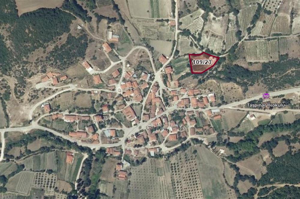C21 BAL'DAN ALTIEYLÜL TAŞPINAR KÖY CİVARI MEVKİİ 1989 M2 TARLA