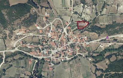 C21 BAL'DAN ALTIEYLÜL TAŞPINAR KÖY CİVARI MEVKİİ 1989 M2 TARLA