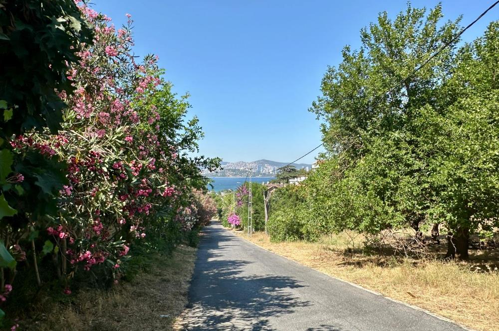 BÜYÜKADA MELODİ SİTESİ EŞYALI HAVUZLU BAKIMLI GENİŞ KİRALIK 2+1