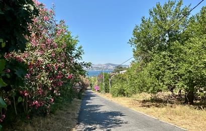 BÜYÜKADA MELODİ SİTESİ EŞYALI HAVUZLU BAKIMLI GENİŞ KİRALIK 2+1
