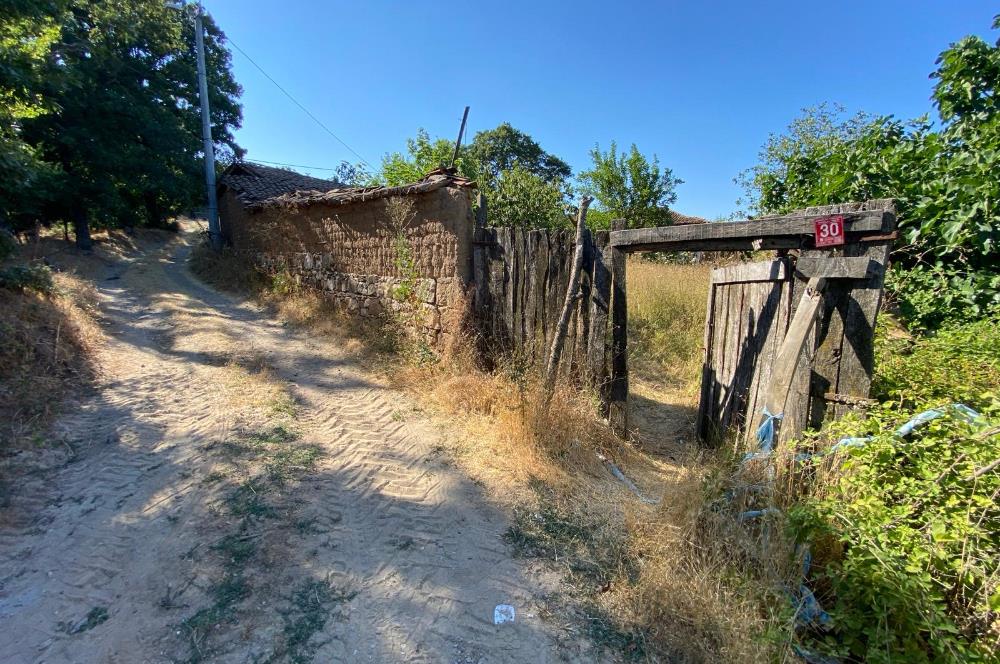 C21BAL'DAN KARESİ KIRMIZILAR MH 1321 M2 SATILIK KAGİR EV VE ARSA
