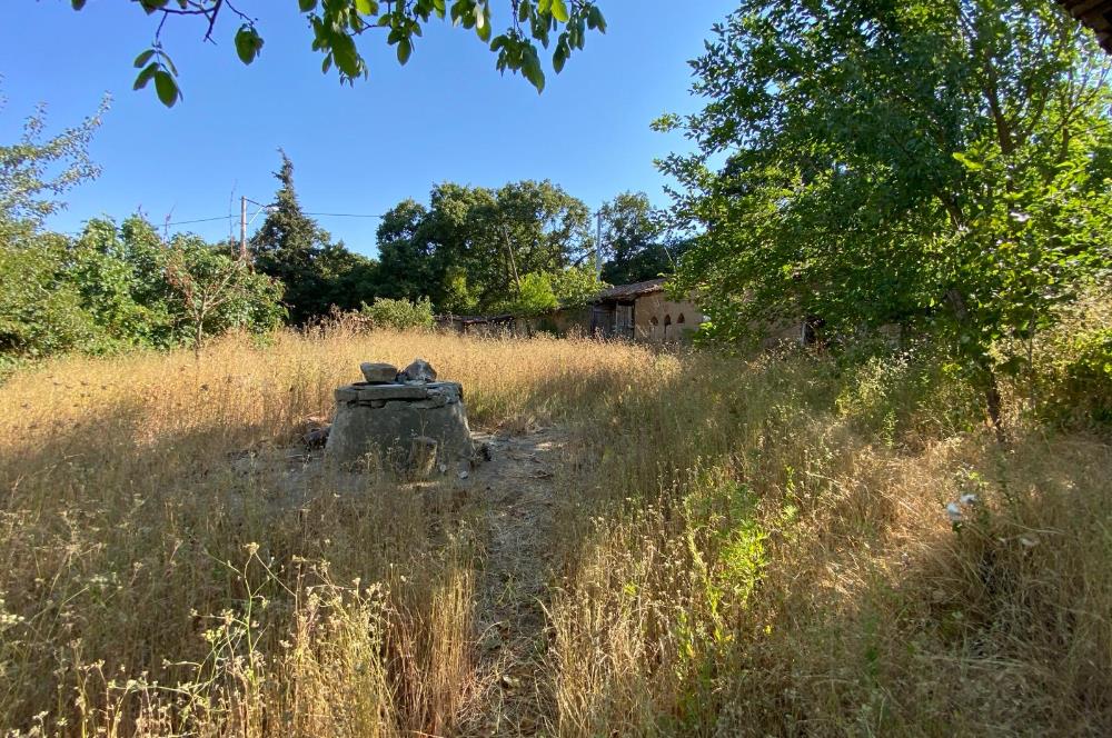 C21BAL'DAN KARESİ KIRMIZILAR MH 1321 M2 SATILIK KAGİR EV VE ARSA