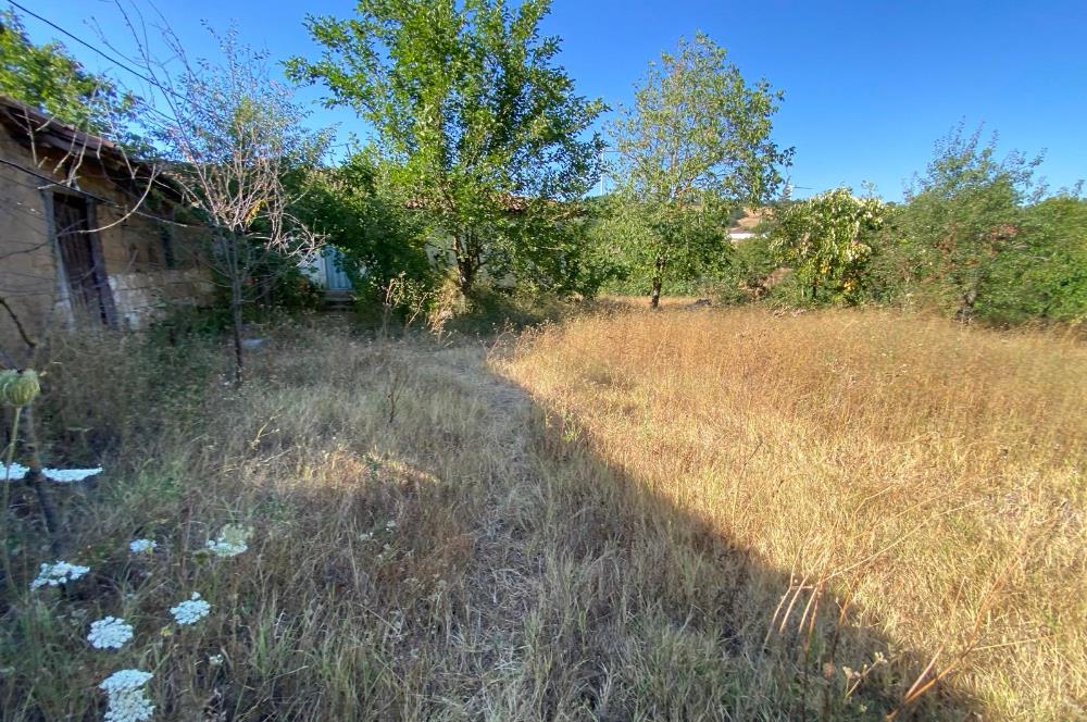 C21BAL'DAN KARESİ KIRMIZILAR MH 1321 M2 SATILIK KAGİR EV VE ARSA